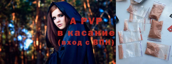 стаф Сафоново