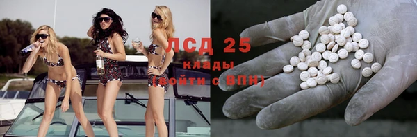 прущие грибы Семёнов