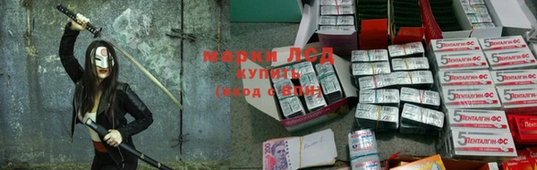 прущие грибы Семёнов