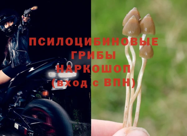 метамфетамин Сатка