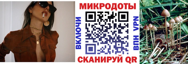 Купить закладки  Усолье  Галлюциногенные грибы Magic Shrooms 